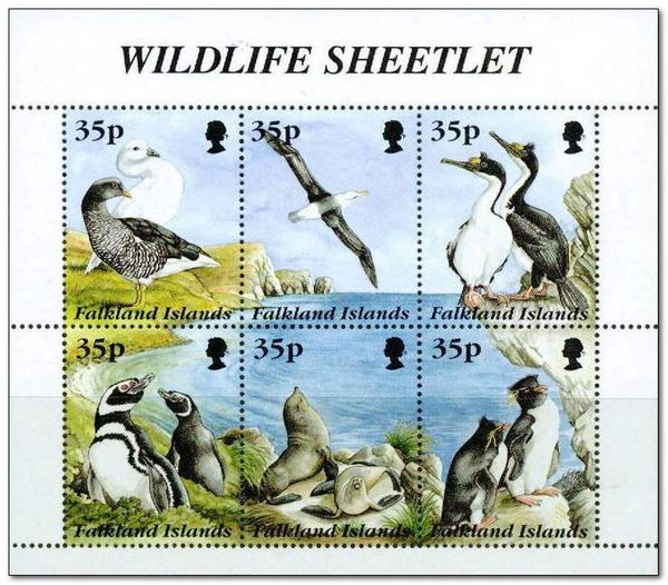 Imperial Shag (Leucocarbo atriceps)