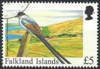 Fork-tailed Flycatcher (Tyrannus savana)