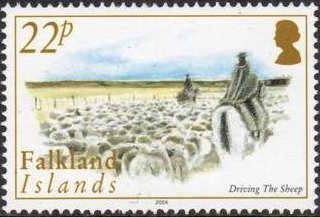 Driving the Sheep