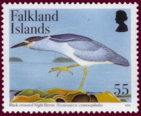 Black-crowned Night-heron (Nycticorax nycticorax cyanocephal