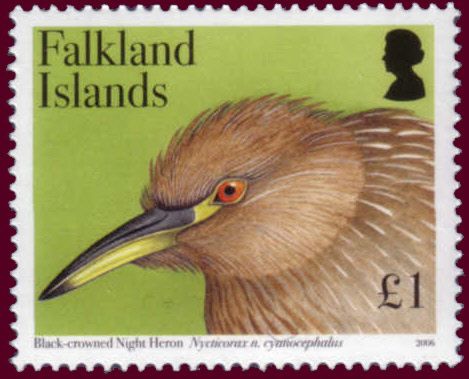 Black-crowned Night-heron (Nycticorax nycticorax cyanocephal