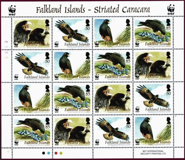 Striated Caracara (Phalcoboenus australis)