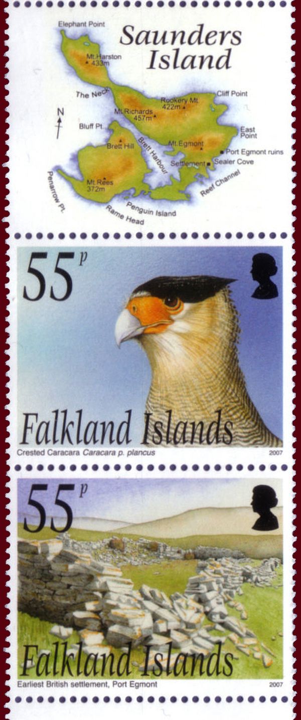 Crested Caracara (Caracara plancus)