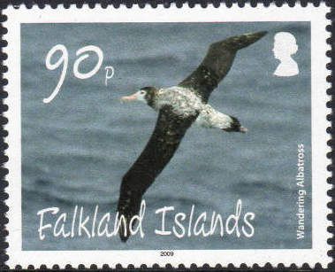 Wandering Albatross (Diomedea exulans)