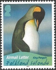 King Penguin (Aptenodytes patagonicus)