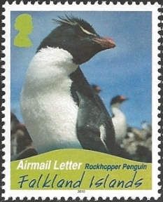 Southern Rockhopper Penguin (Eudyptes chrysocome)