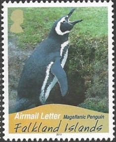 Magellanic Penguin (Spheniscus magellanicus)