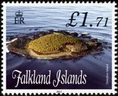 Bird Island 