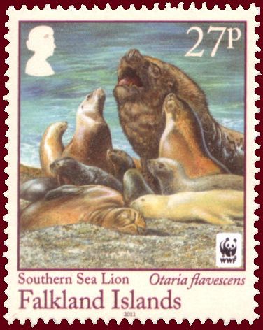 Southern Sea Lion (Otaria byronia)