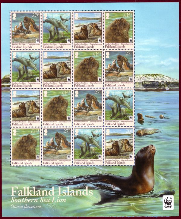 Southern Sea Lion