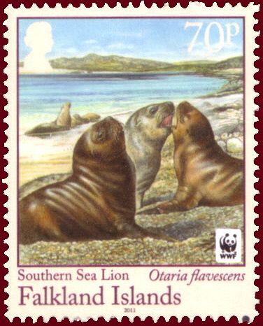Southern Sea Lion (Otaria byronia)