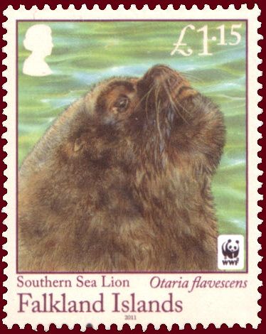 Southern Sea Lion (Otaria byronia)