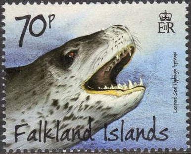 Leopard Seal (Hydrurga leptonyx)