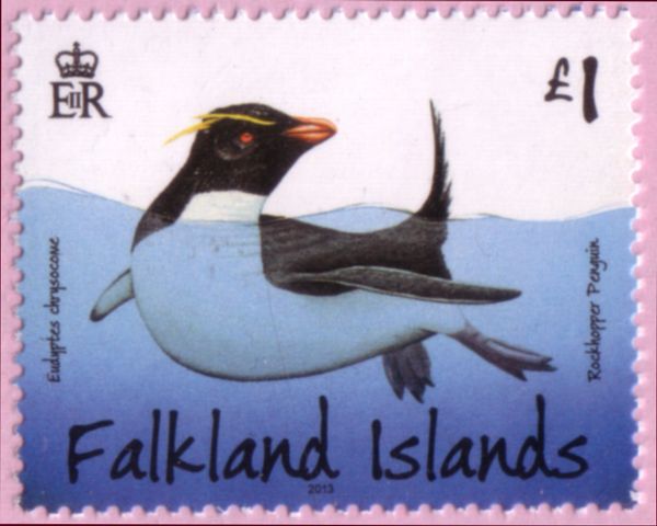Southern Rockhopper Penguin (Eudyptes chrysocome)