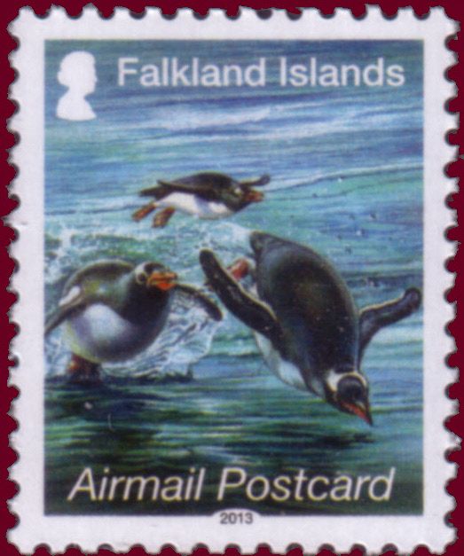 Gentoo Penguin (Pygoscelis papua)
