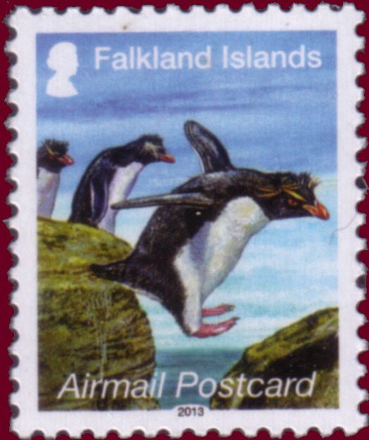 Southern Rockhopper Penguin (Eudyptes chrysocome)