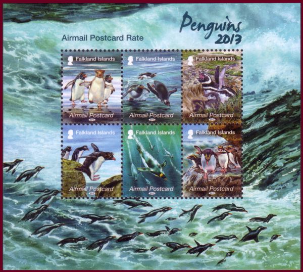 Southern Rockhopper Penguin (Eudyptes chrysocome)