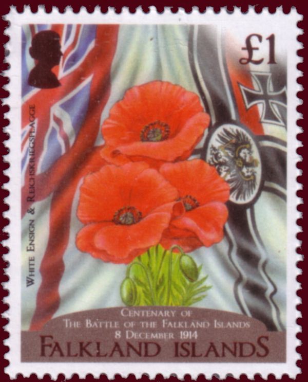 Poppies and Flags
