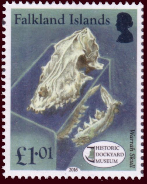Traditional horse gear