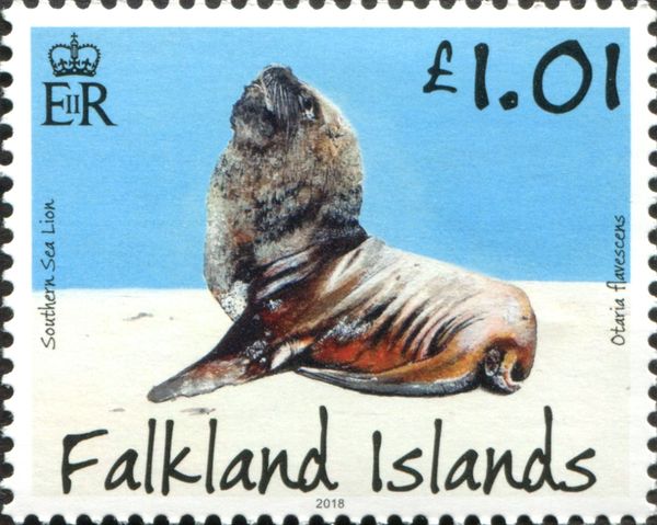 Southern Sea Lion (Otaria flavescens)