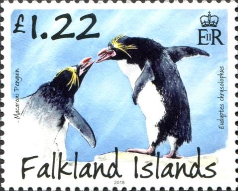 Macaroni Penguin (Eudyptes chrysolophus)