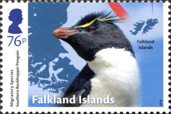 Southern Rockhopper Penguin (Eudyptes chrysocome)