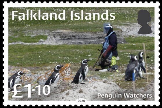 Penguin Watchers