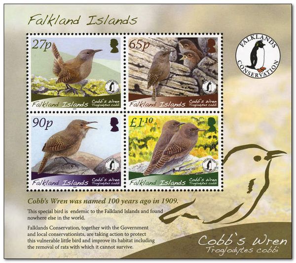 Cobb's Wren (Troglodytes cobbi)