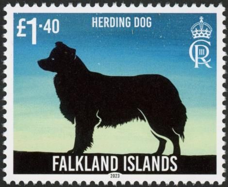 Herding Dog