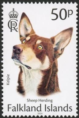 Kelpie