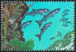 Barracudas