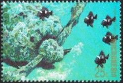 Three-spotted damselfish
