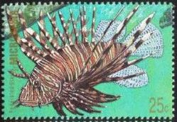 Lionfish