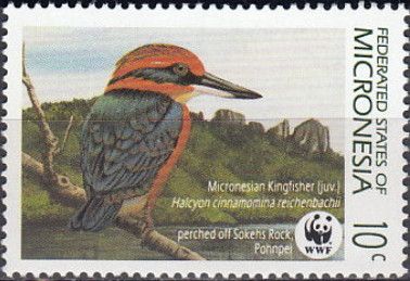 Micronesian Kingfisher (Halcyon cinnamomina reichenbachii)