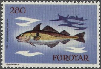 Haddock (Melanogrammus aeglefinus)