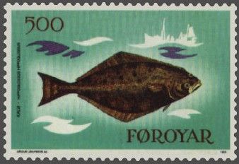Atlantic Halibut (Hippoglossus hippoglossus)