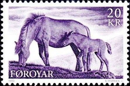 Horse (Equus ferus caballus)