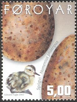 Whimbrel (Numenius phaeopus)