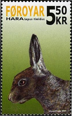 Mountain Hare (Lepus timidus)