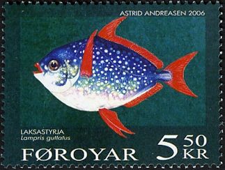 North Atlantic Opah (Lampris guttatus)