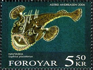 European Angler (Lophius piscatorius)