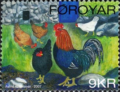 Chicken, Cock (Gallus gallus domesticus)