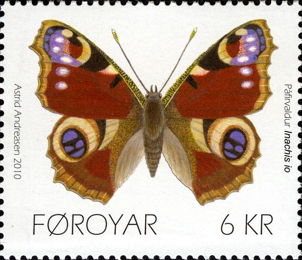European Peacock (Inachis io)