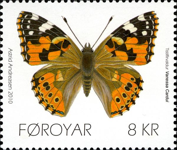 Painted Lady (Vanessa cardui)