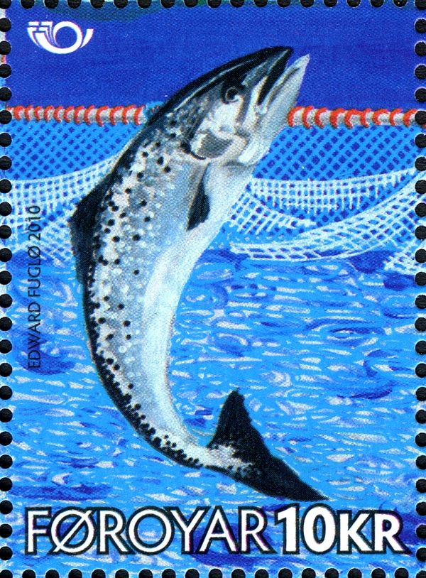 Atlantic Salmon (Salmo salar)