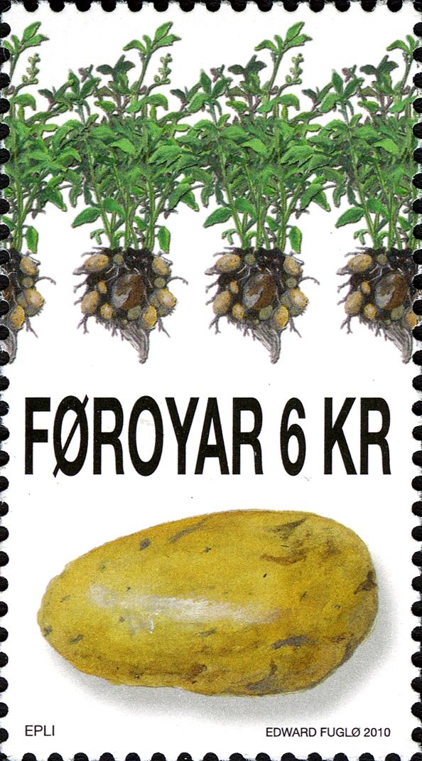 Potatoes and Root vegetables - Potatoes