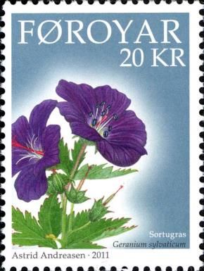 Wood Cranesbil (Geranium sylvaticum)