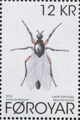 Red-thighed St. Mark's fly (Bibio pomonae)