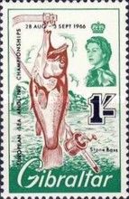 Atlantic Wreckfish (Polyprion americanum)