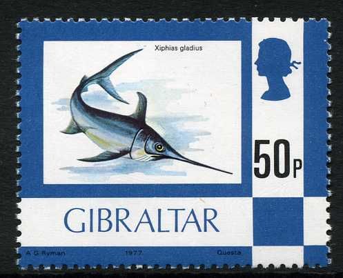 Swordfish (Xiphias gladius)